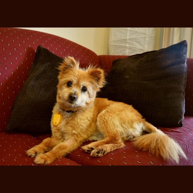 Photo of Sophie
