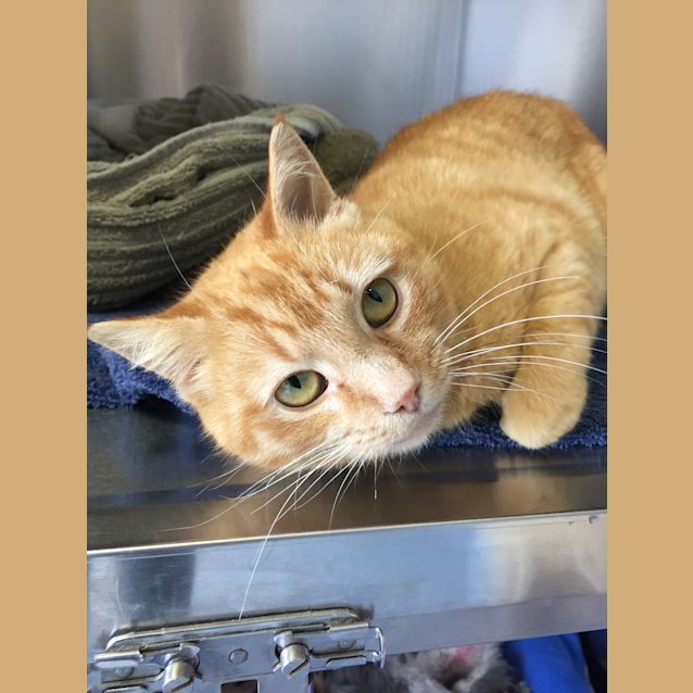 Photo of Mallory (Videos Available)