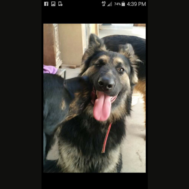 Photo of Indi