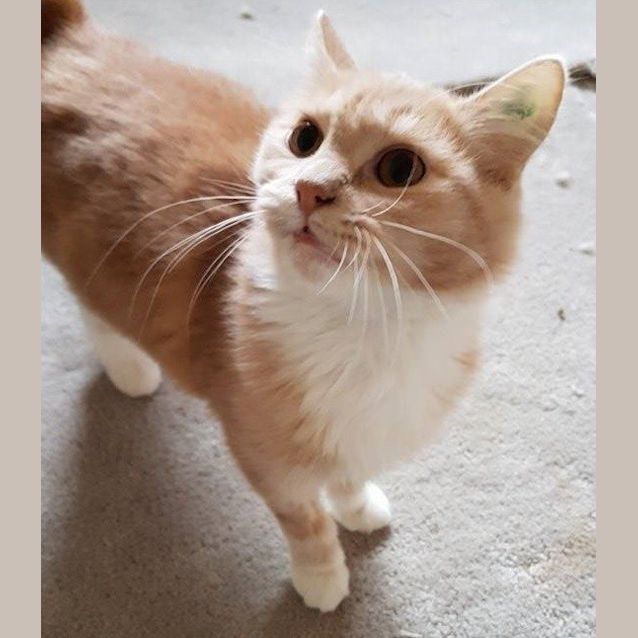 Photo of Adoption Day Sunday May 15