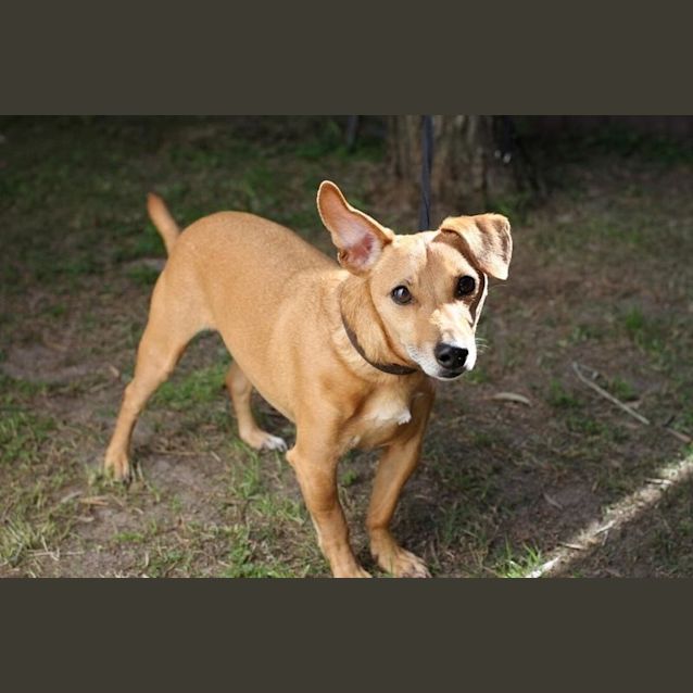 Photo of Widget