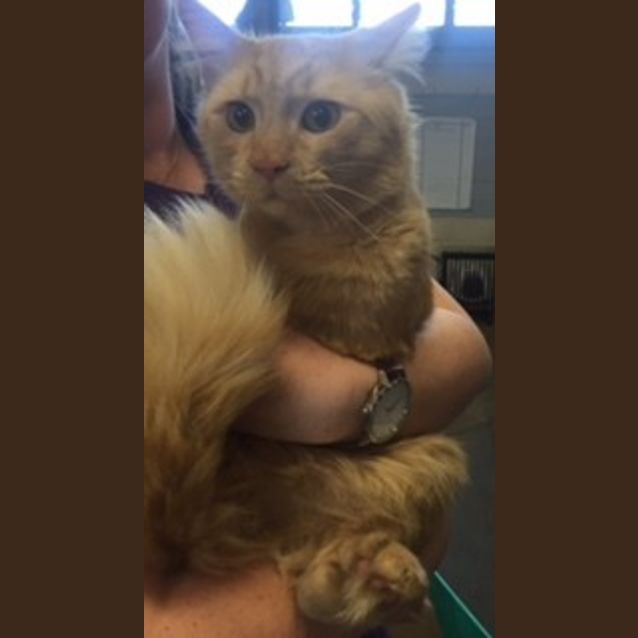 Photo of Buttons