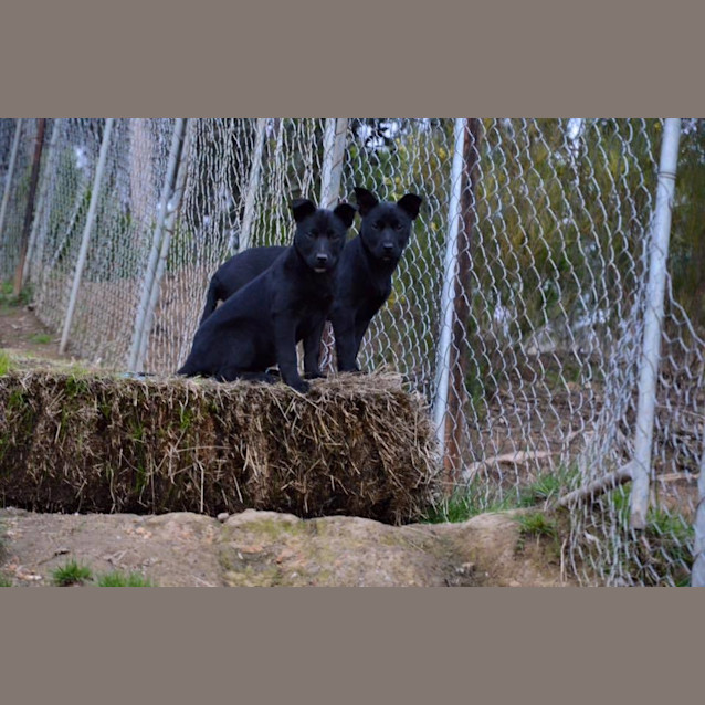 Photo of Elsa