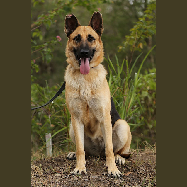 Photo of Abby