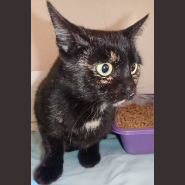 Photo of Blinky