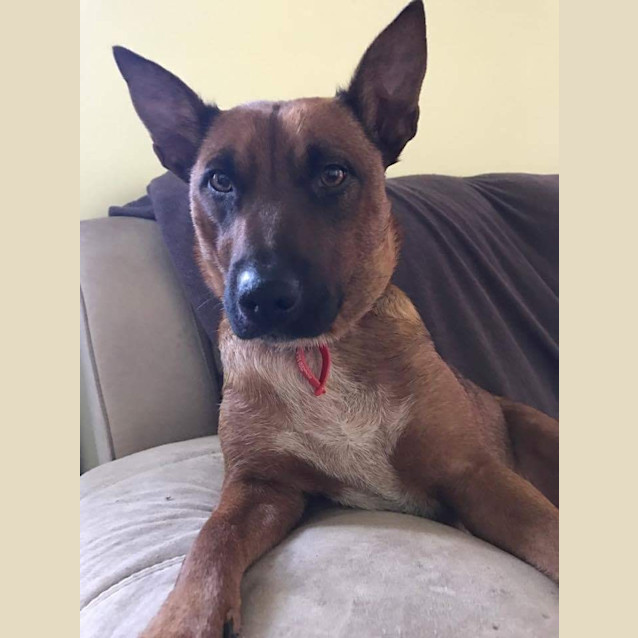 Photo of Elsie