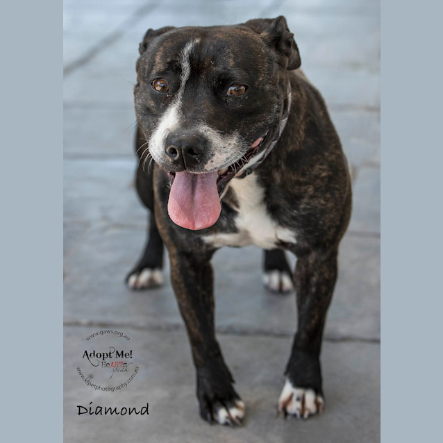 Photo of Diamond Id32294