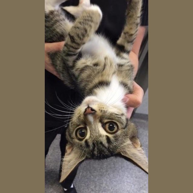 Photo of Adoption Day Sunday May 15