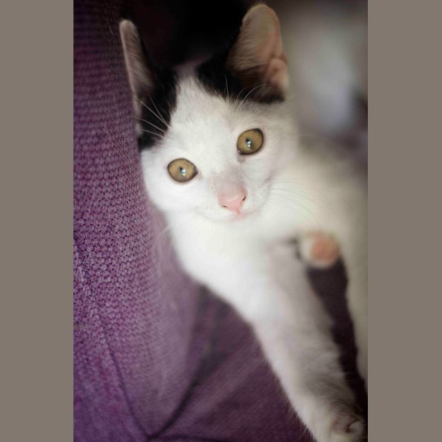 Photo of Zeus