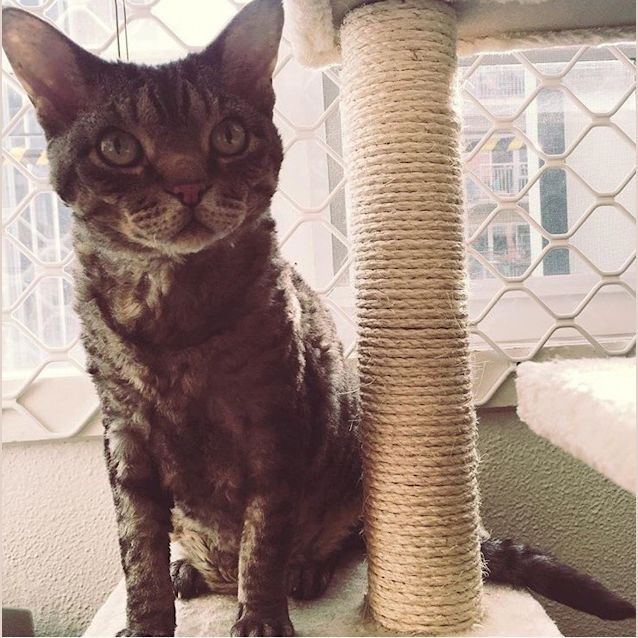 Photo of Mac And Minnie