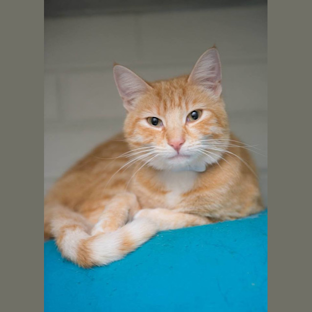 Photo of Morrison (0269)