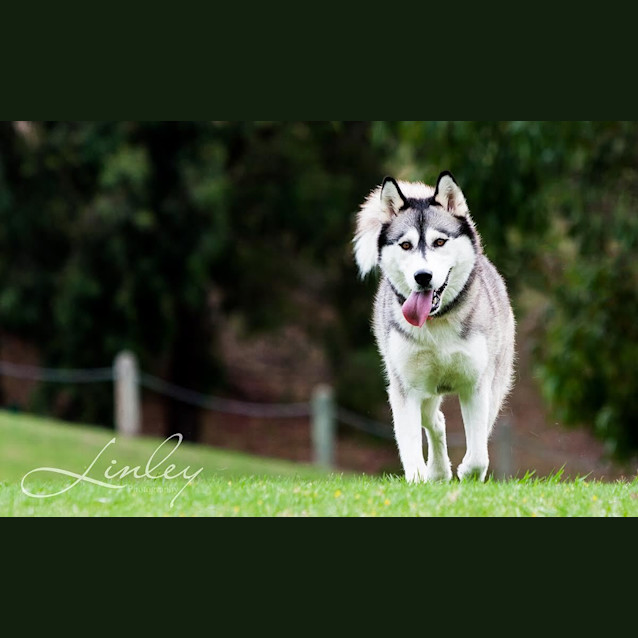 Photo of Tia