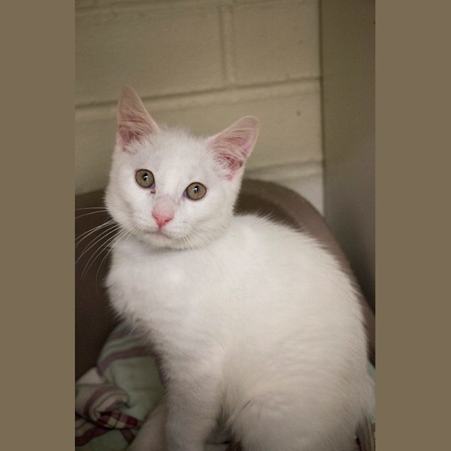 Photo of Wolfgang (0275)