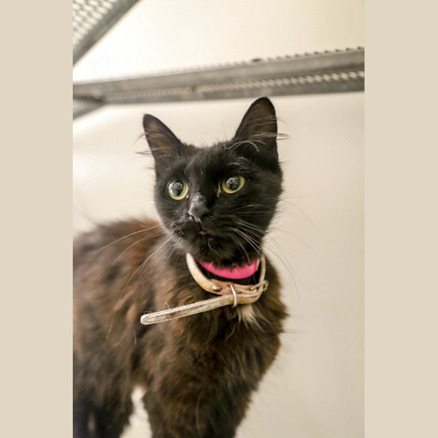 Photo of Olivia (0085)