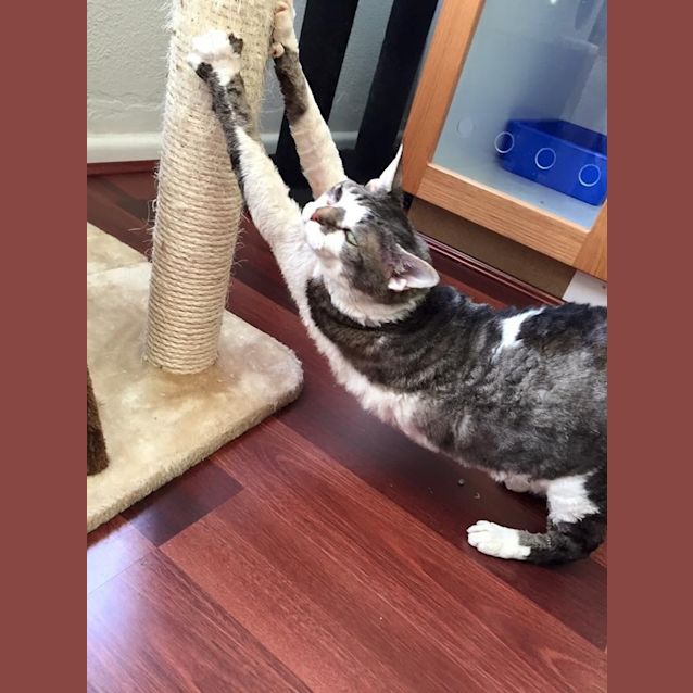 Photo of Mac And Minnie