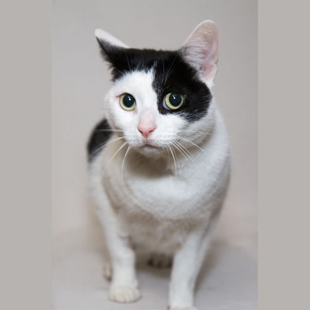 Photo of Rogue