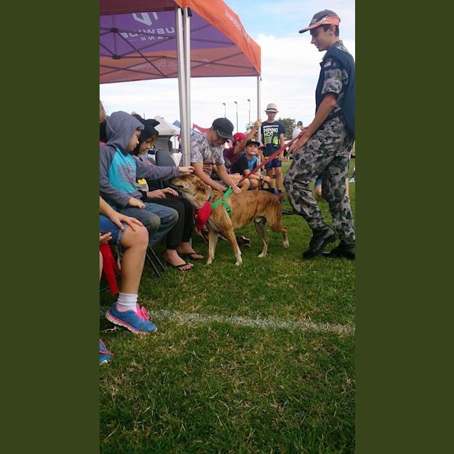 Photo of Butch (Adoption Pending)