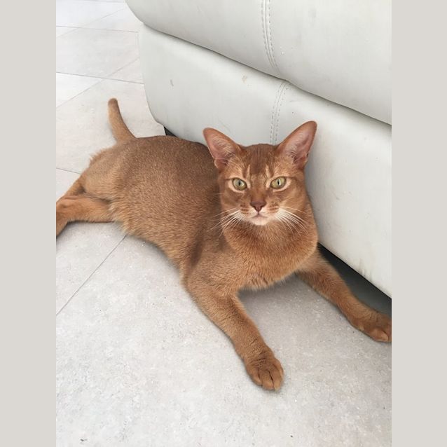 Photo of Foxy And Larry