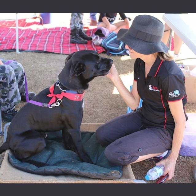 Photo of Toby (Adoption Pending)