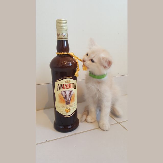 Photo of Amarula