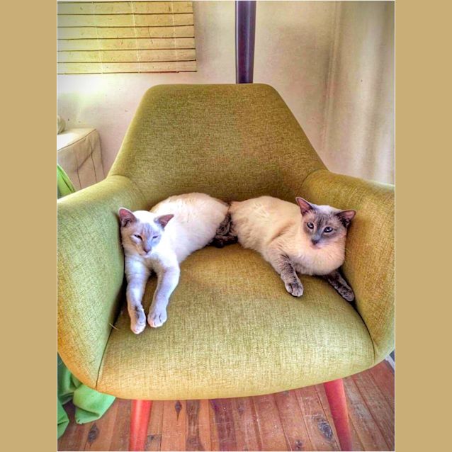 Photo of Jethro & Jabin