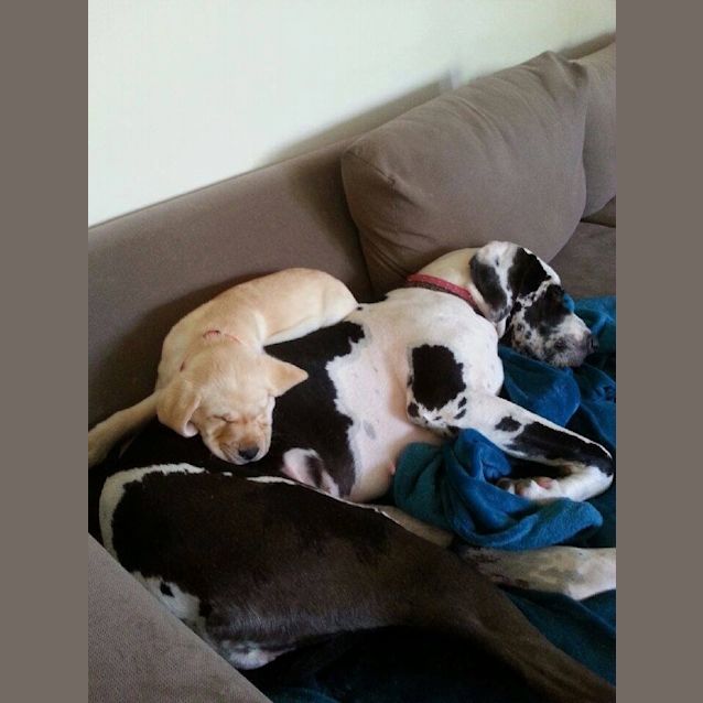 Photo of Molly (Nsw)