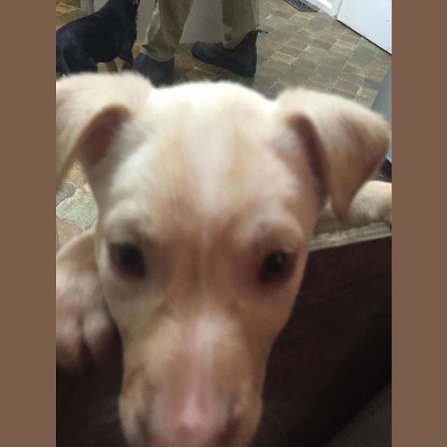 Photo of Casper