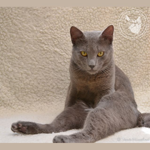 Photo of Blue Care