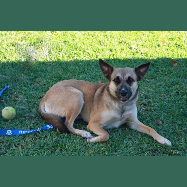 Photo of Emmy (D3382) 