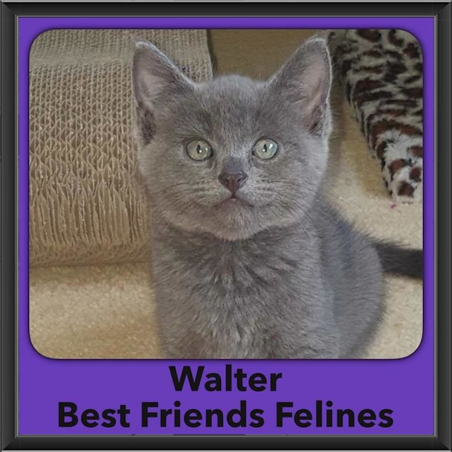 Photo of Walter 