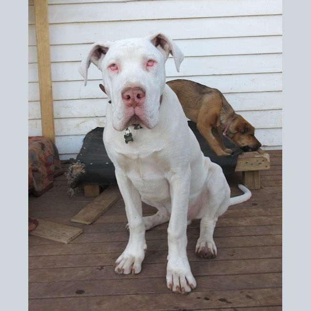 Photo of Ghost *On Trial In His New Home*