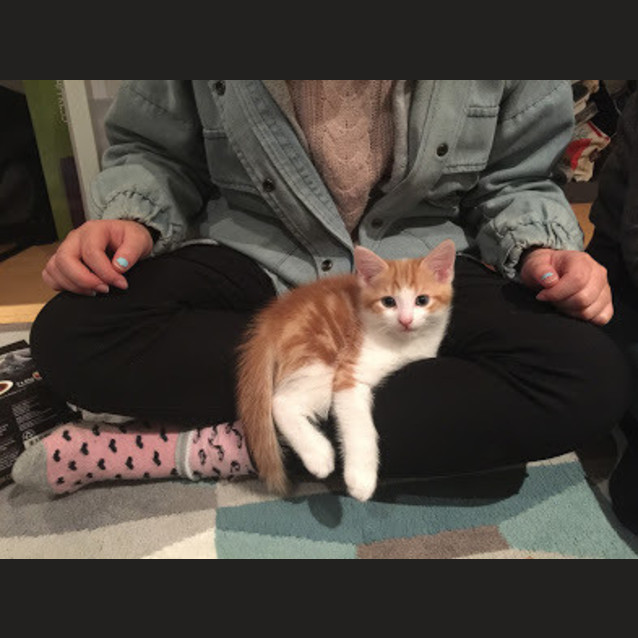 Photo of Gin