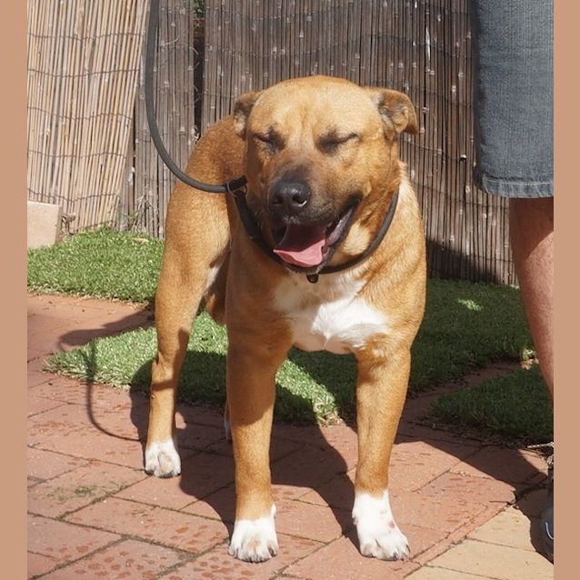 Photo of Maverick
