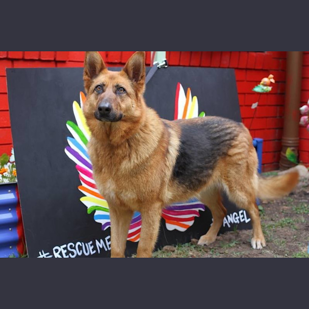 Photo of Sasha