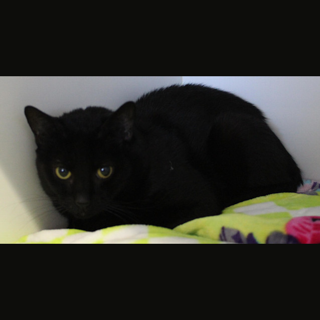 Photo of Ralphie