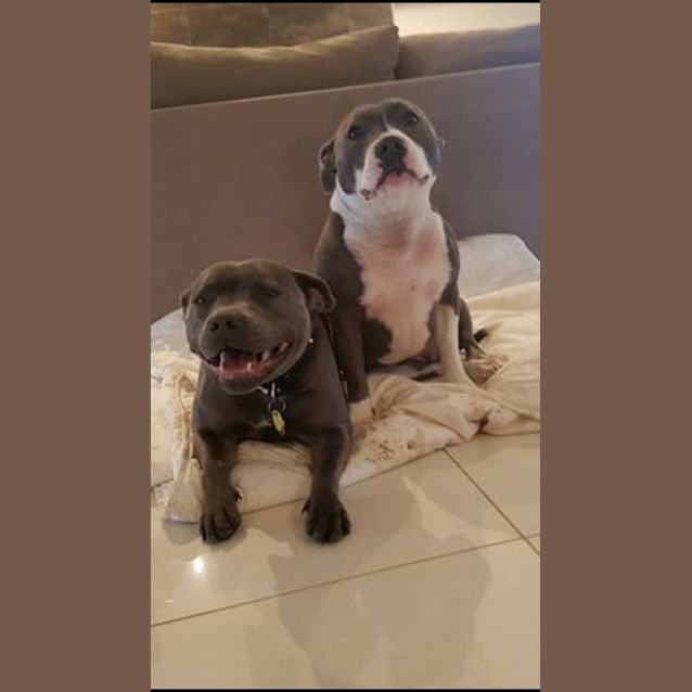 Photo of Bella And Baylee