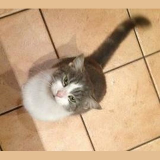 Photo of Penny