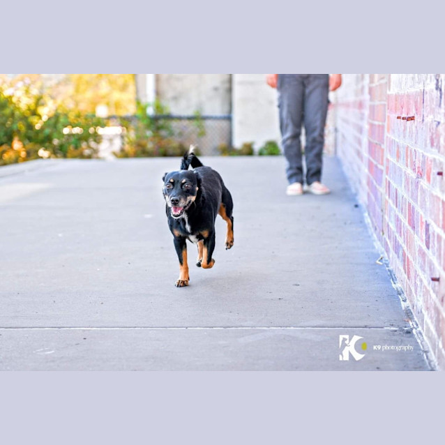 Photo of Kirra