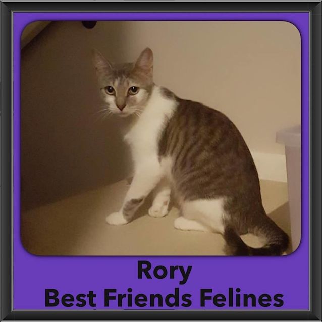 Photo of Rory 