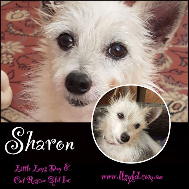 Photo of Sharon