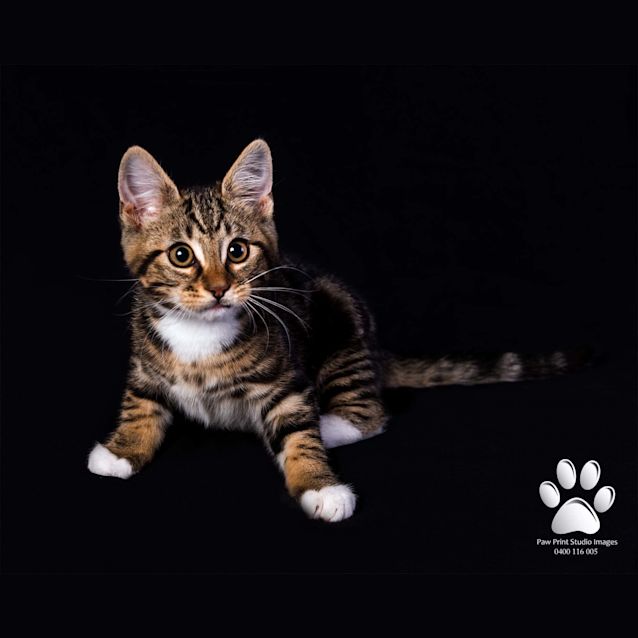 Photo of Burt Ec0285