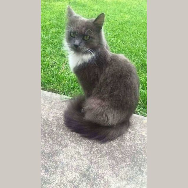 Photo of Duchess