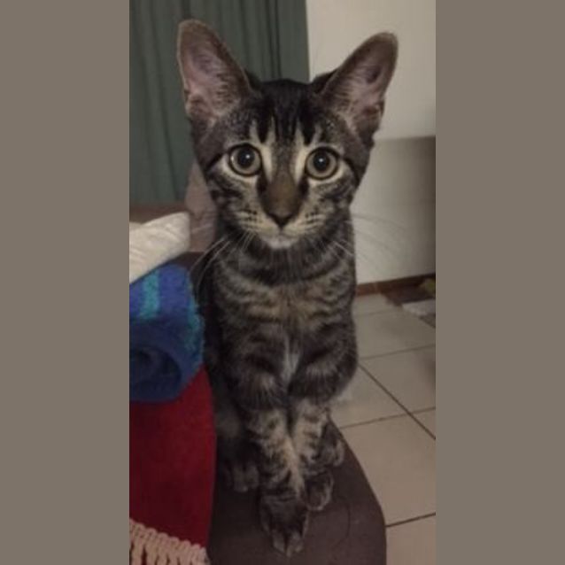 Photo of Aldo
