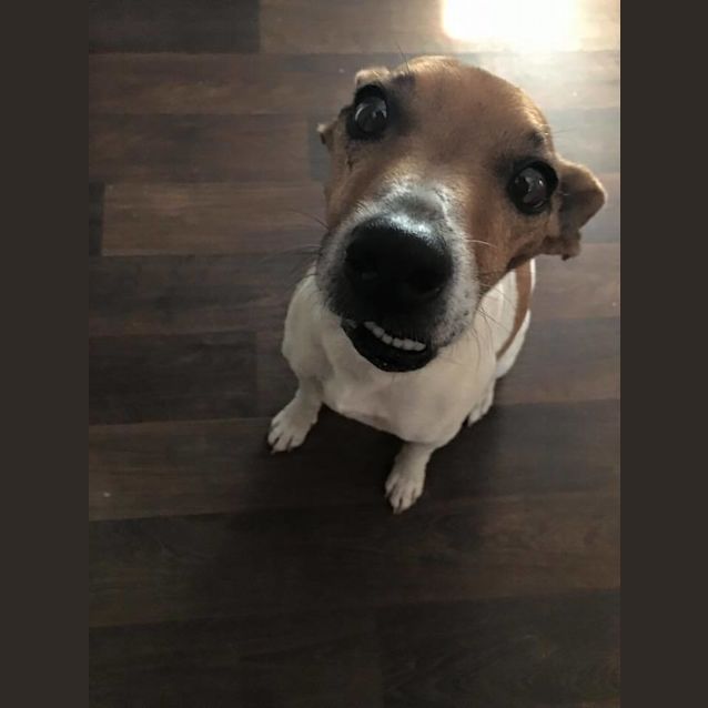 Photo of Fonzie Dl1248