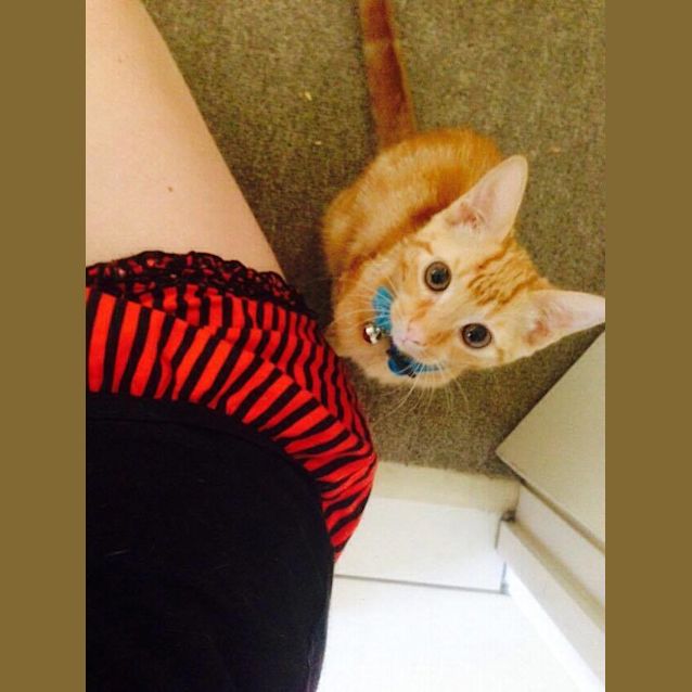 Photo of Peach 