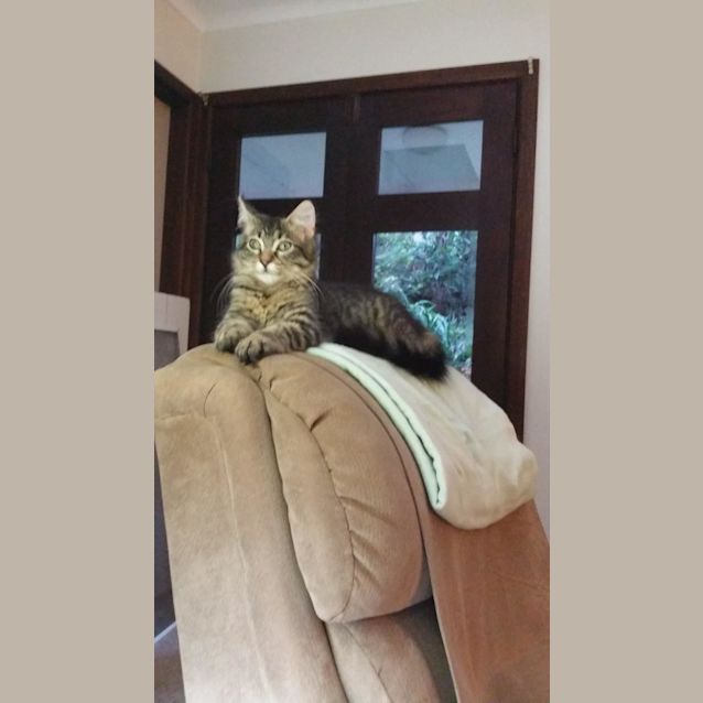 Photo of Kenni And Lars