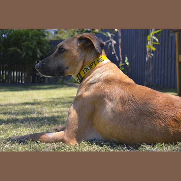 Photo of Asha