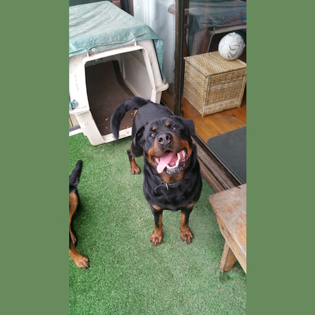 Photo of Hugo