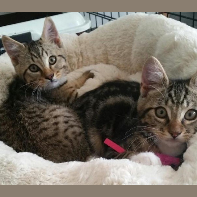 Photo of Ernie Ec0286 