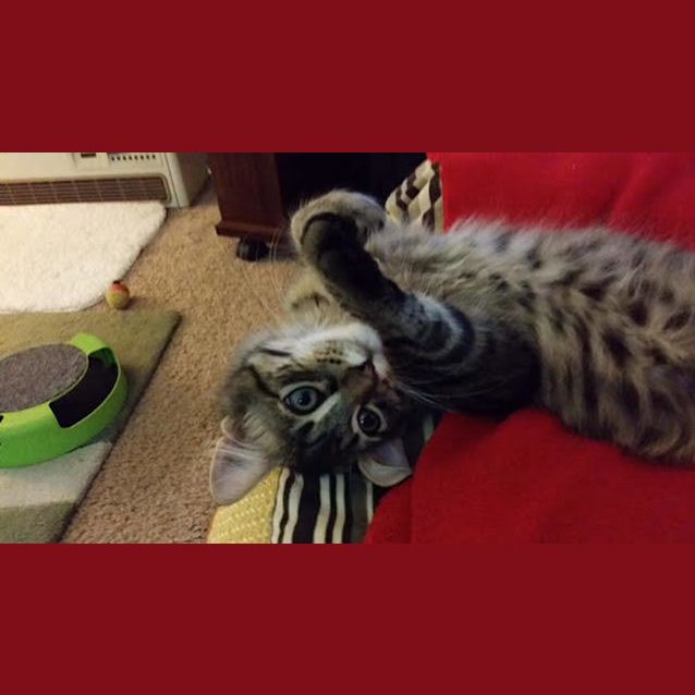 Photo of Kenni And Lars